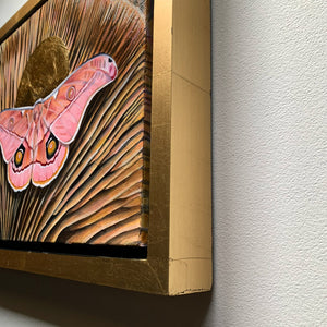 pink emperor gum moth mushroom painting in gold float frame  detail