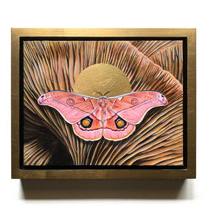 pink emperor gum moth mushroom painting in gold float frame 