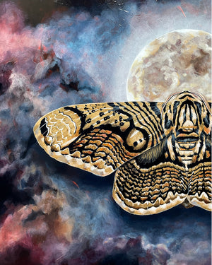 Wallich's owl moth full moon painting detail by Aimee Schreiber