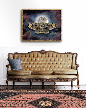 "Beyond" Wallich's Owl Moth Art Print