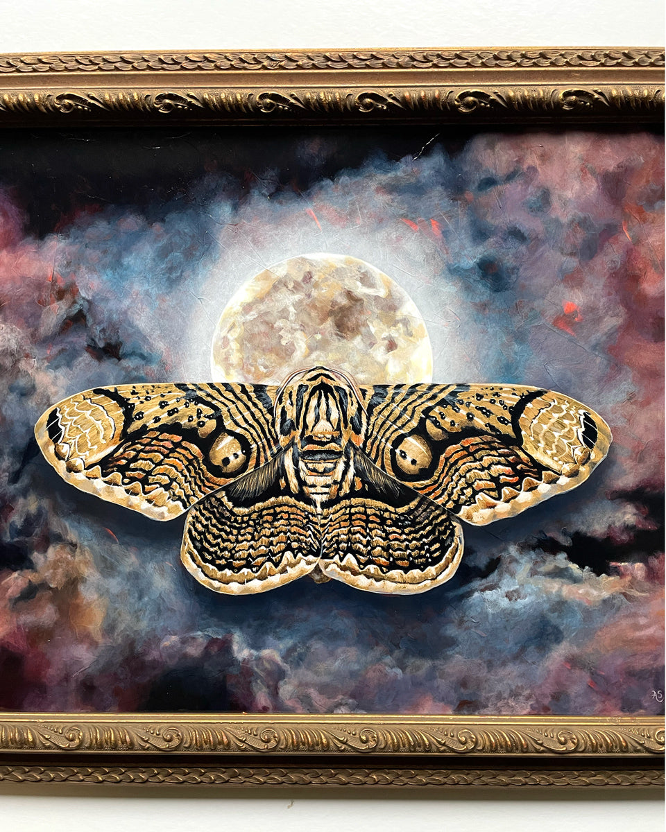 Wallich&#39;s owl moth full moon painting by Aimee Schreiber detail