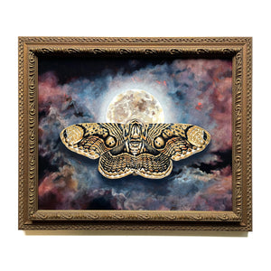 Wallich's owl moth full moon painting by Aimee Schreiber