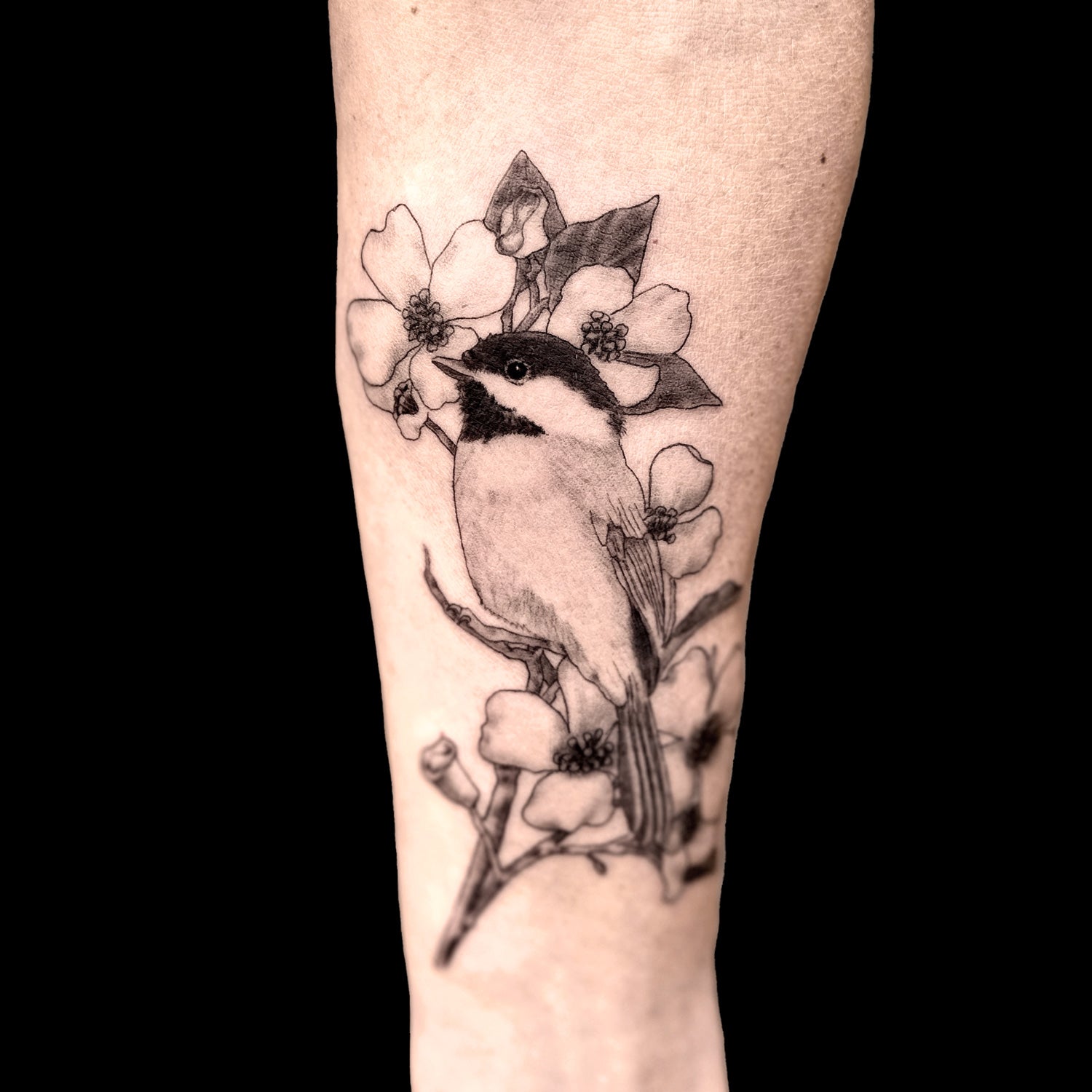 chickadee bird flower tattoo by Danny Schreiber