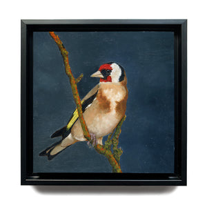 small bird oil painting