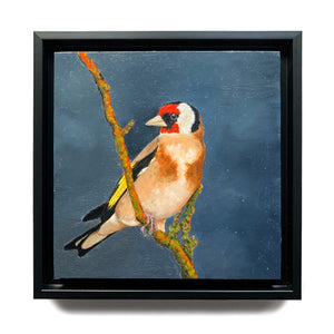 European goldfinch bird small oil painting