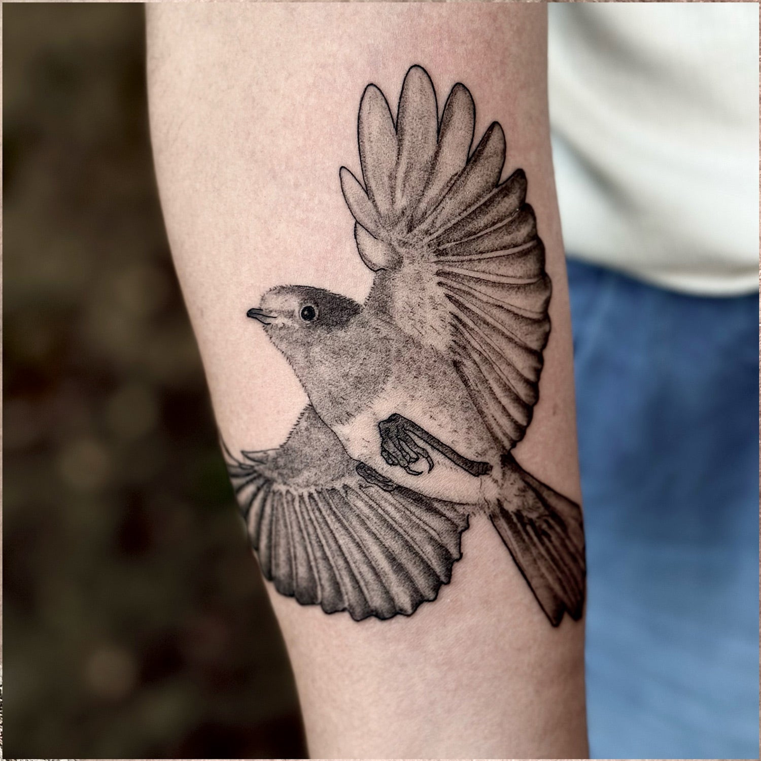 Realistic Bird tattoo black and gray by Danny Schreiber