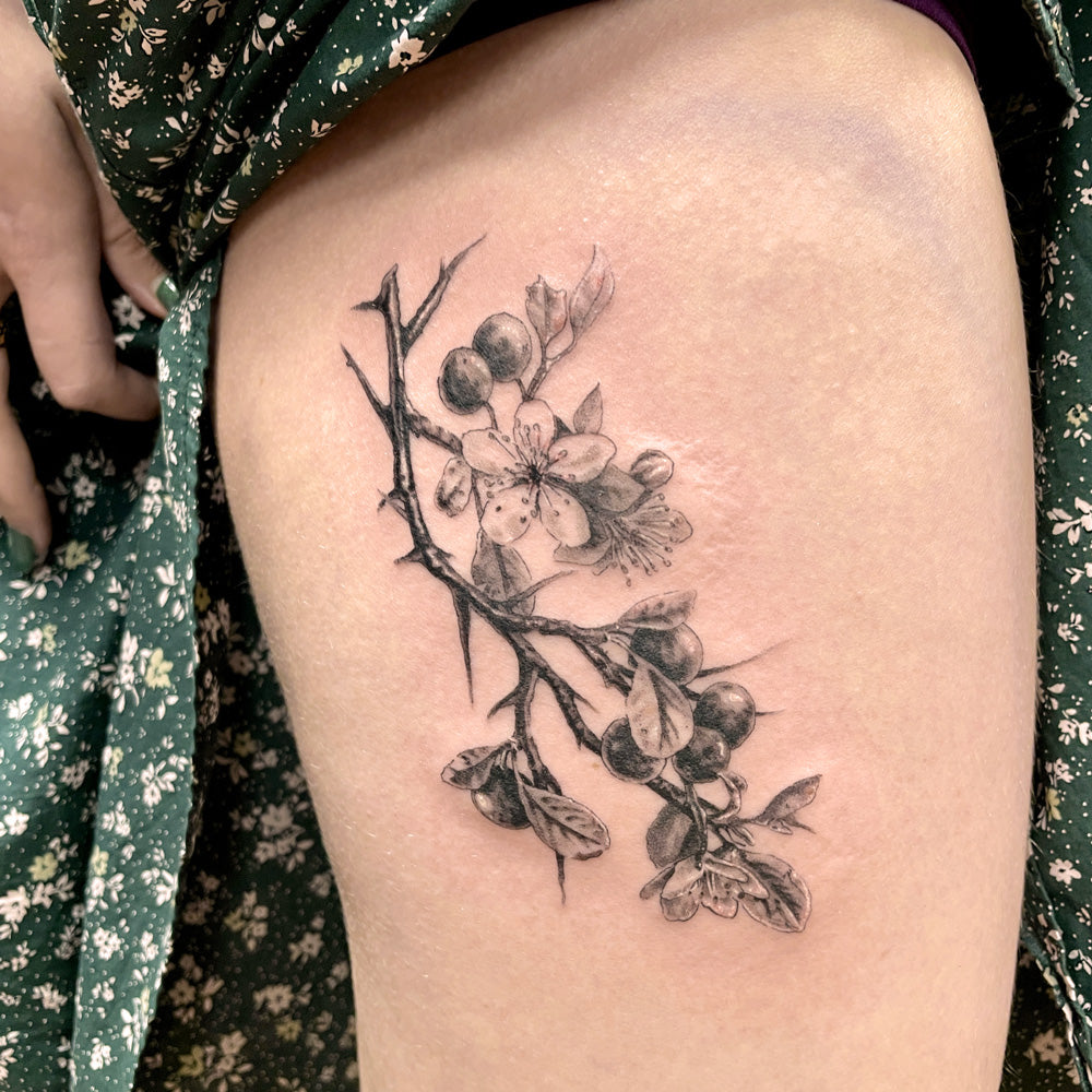blackthorn tattoo by Cass Brown