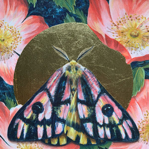'Bloom' elegant sheep moth gold leaf embellished canvas art print halo detail