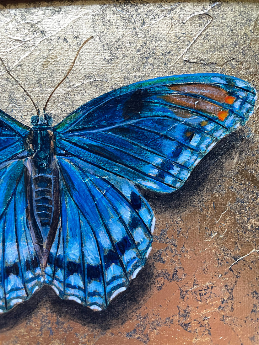 blue butterfly painting with gold leaf detail