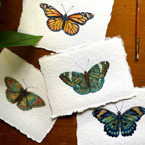 small butterfly paintings on paper with deckled edges