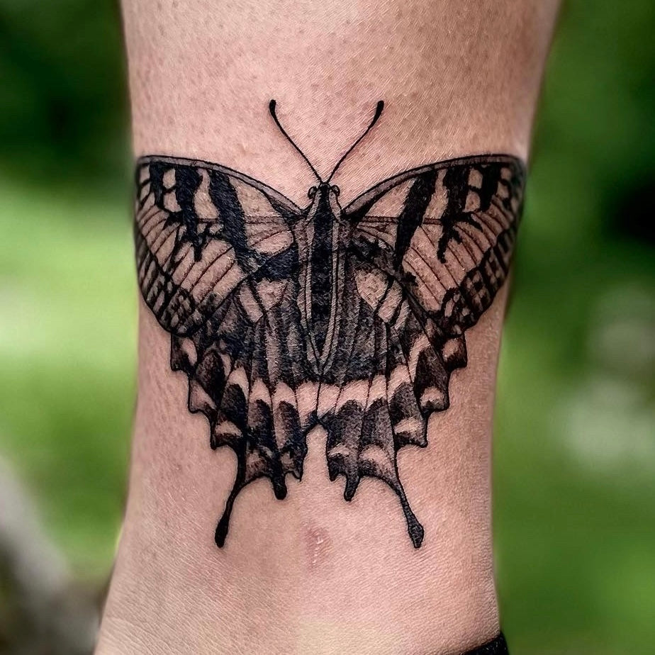 Butterfly tattoo by Danny Schreiber
