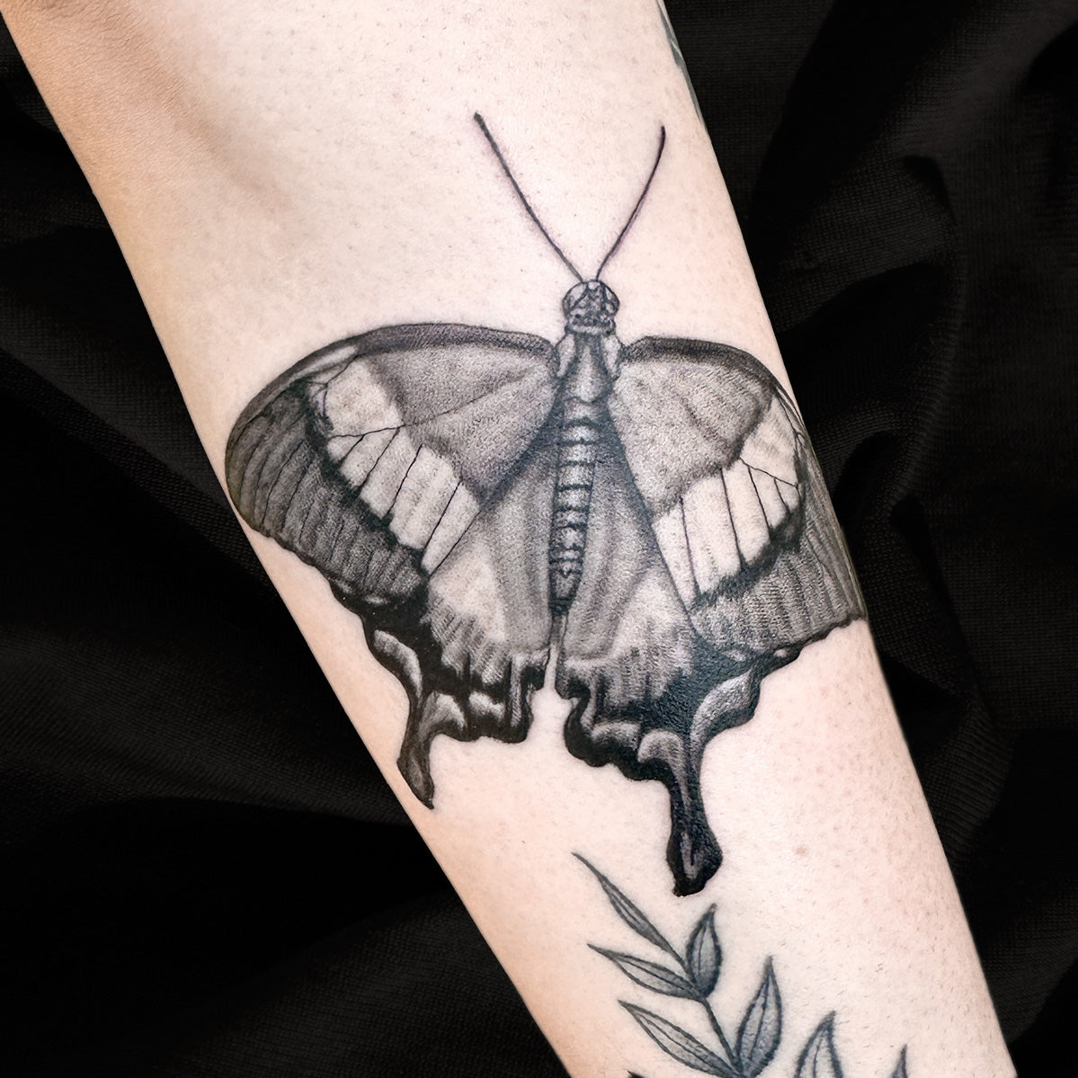 butterfly tattoo by Danny Schreiber