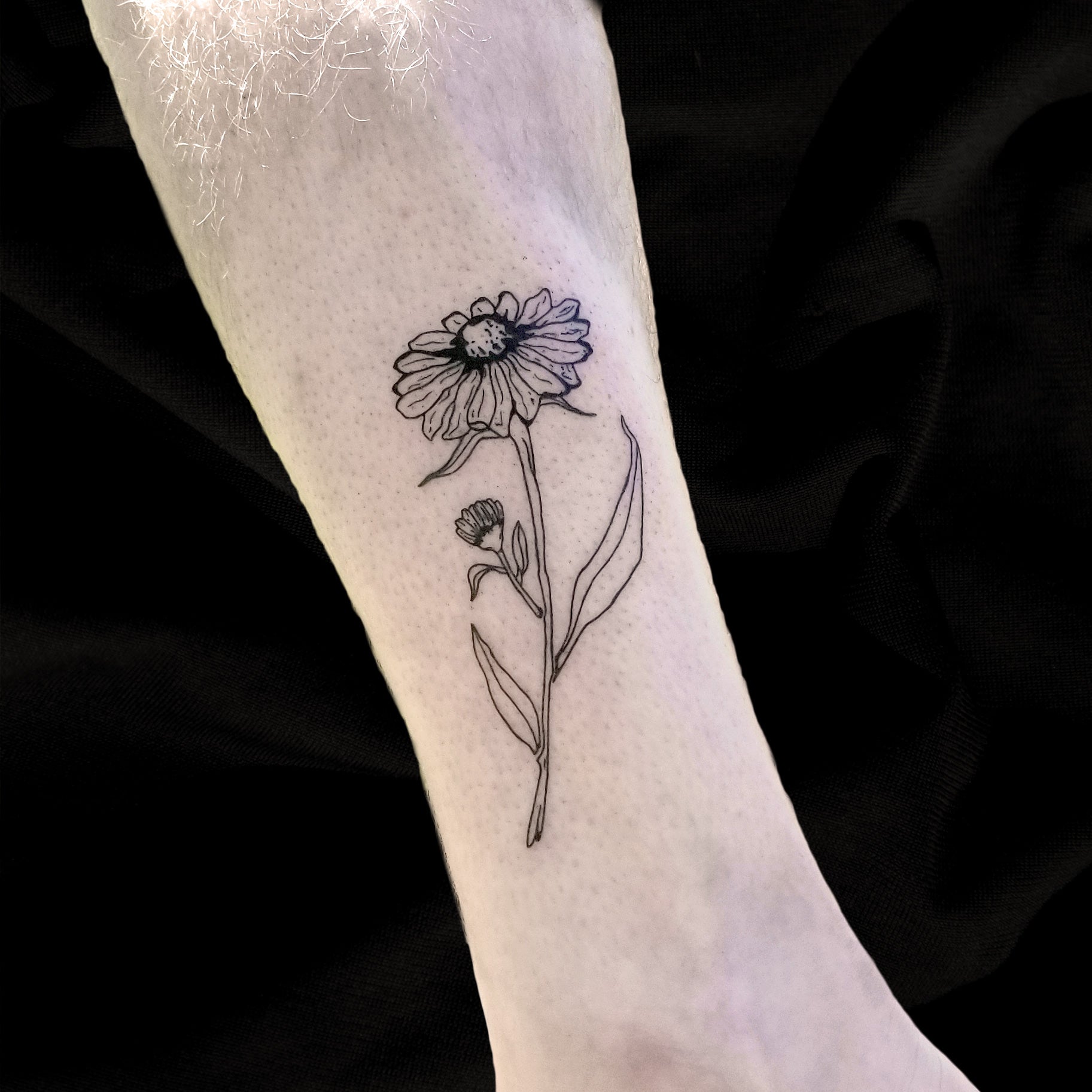 calendula flower tattoo by Lydia Pitts