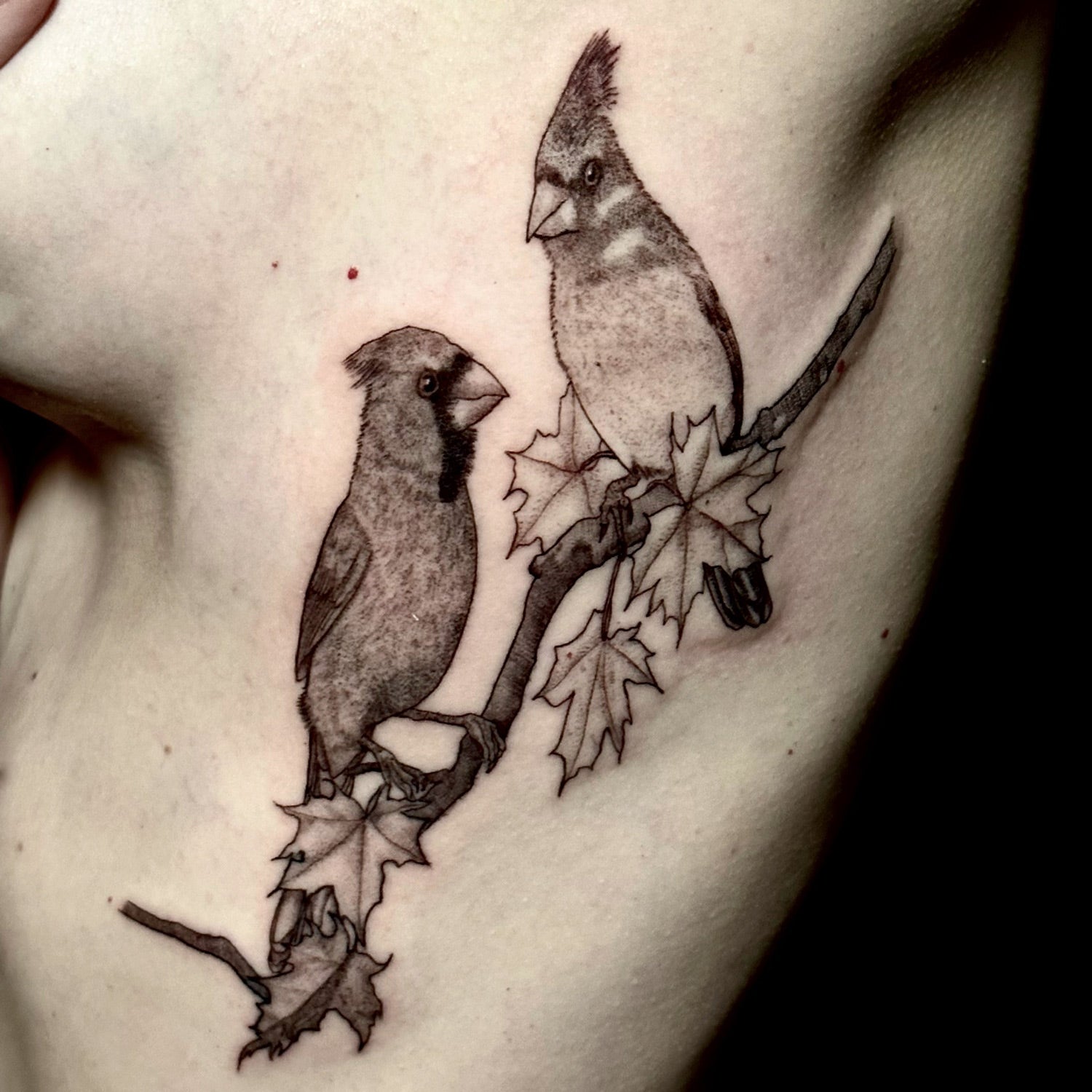 cardinal birds tattoo by Danny Schreiber