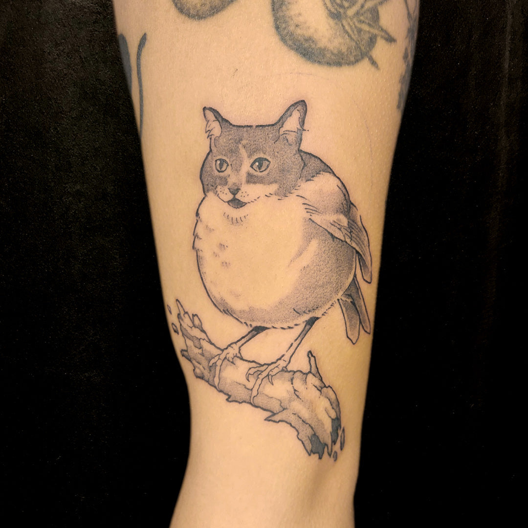 cat bird tattoo by Vincent Li