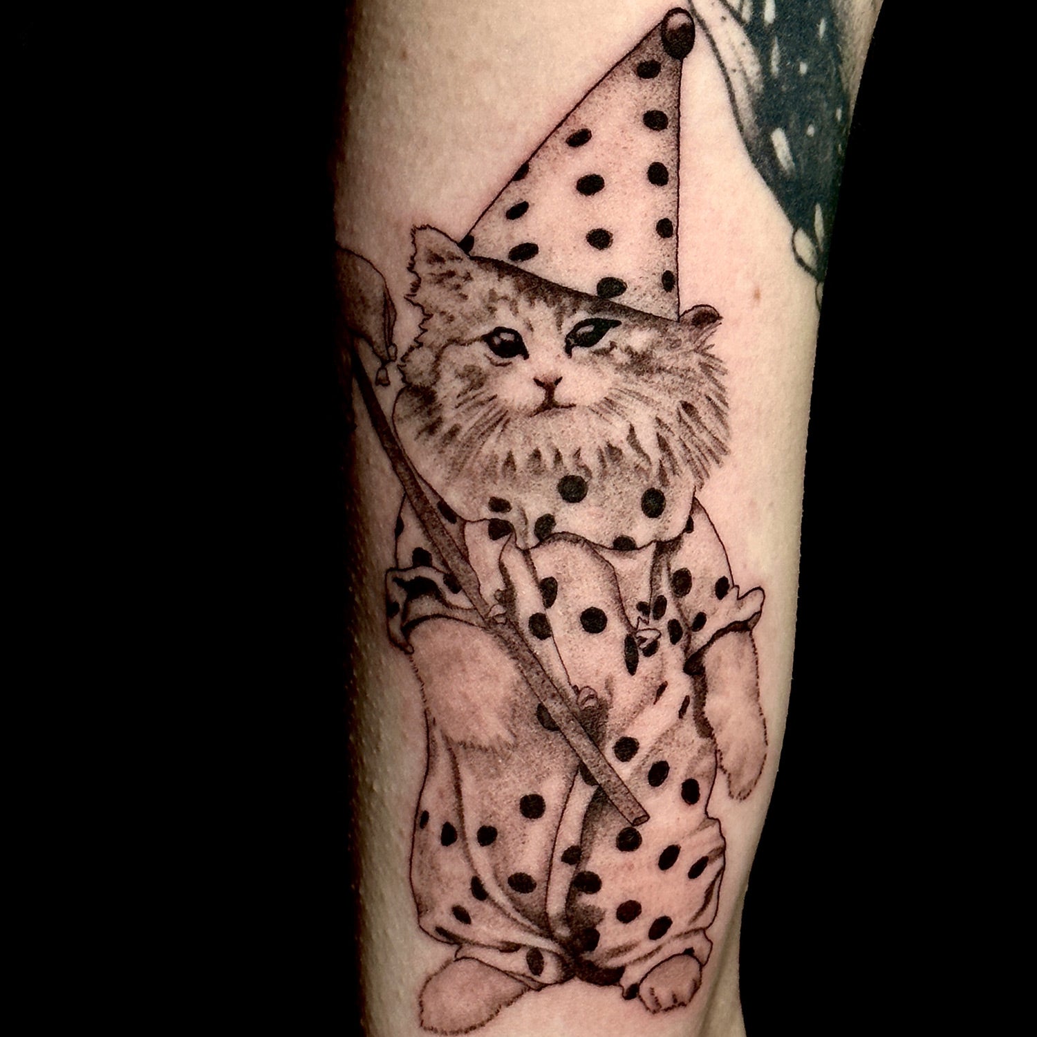 cat in costume tattoo by Danny Schreiber