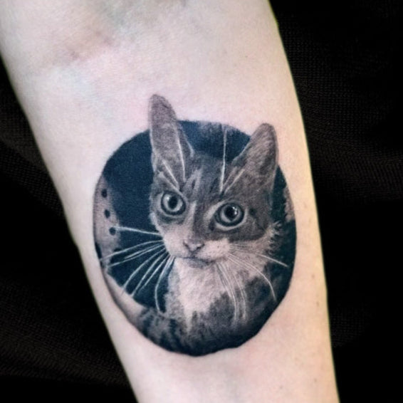 realistic cat portrait tattoo by Danny