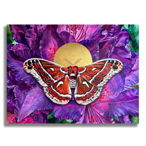 ceanothus moth painting purple rhododendron
