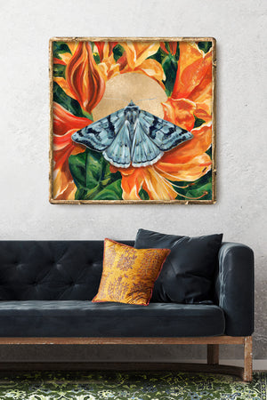 cerulean looper moth orange flower wall art print
