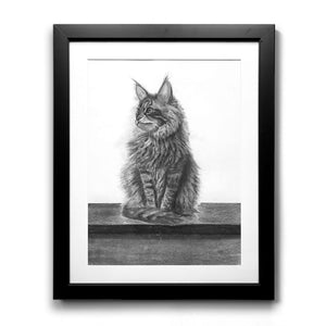 cat charcoal drawing framed art