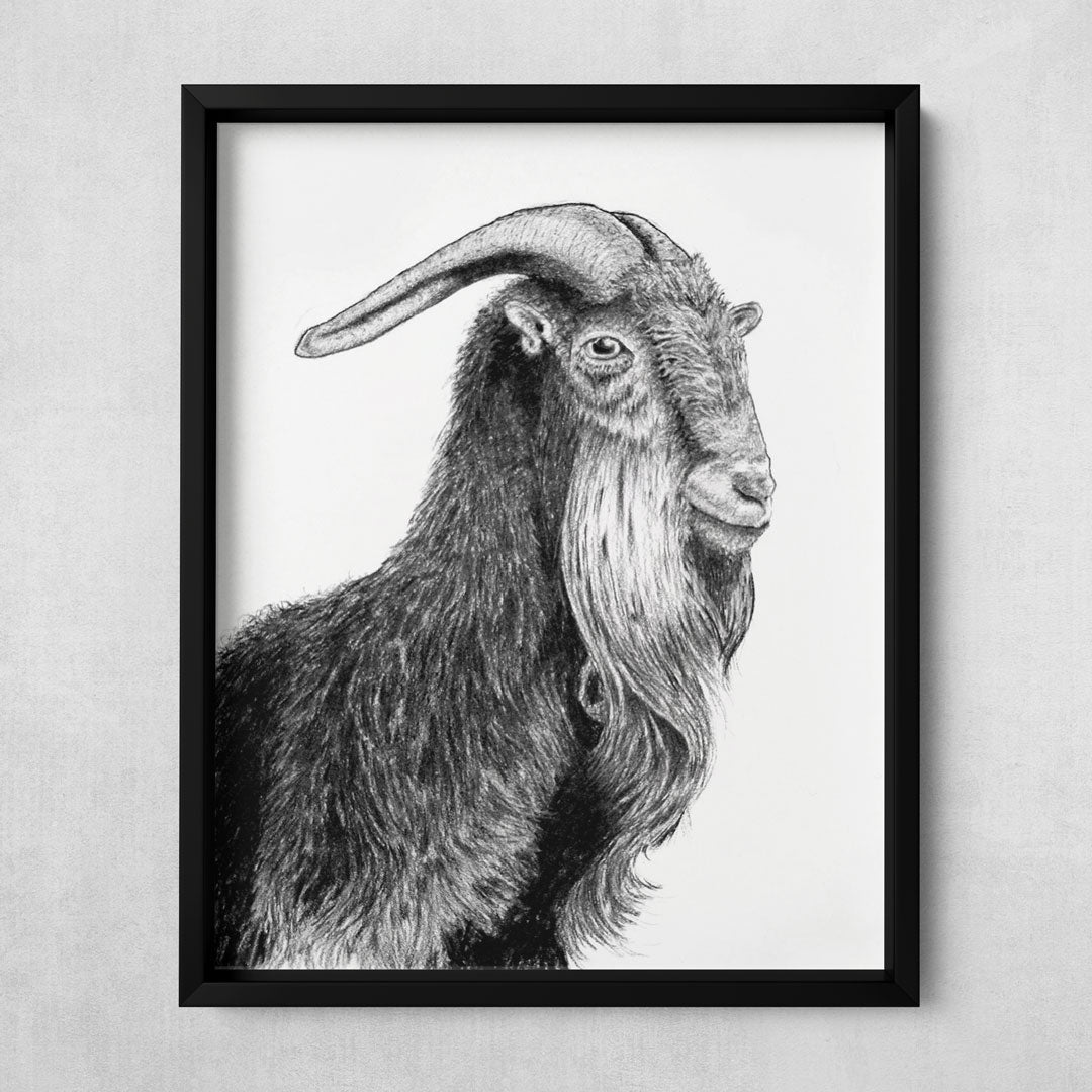charcoal art print goat