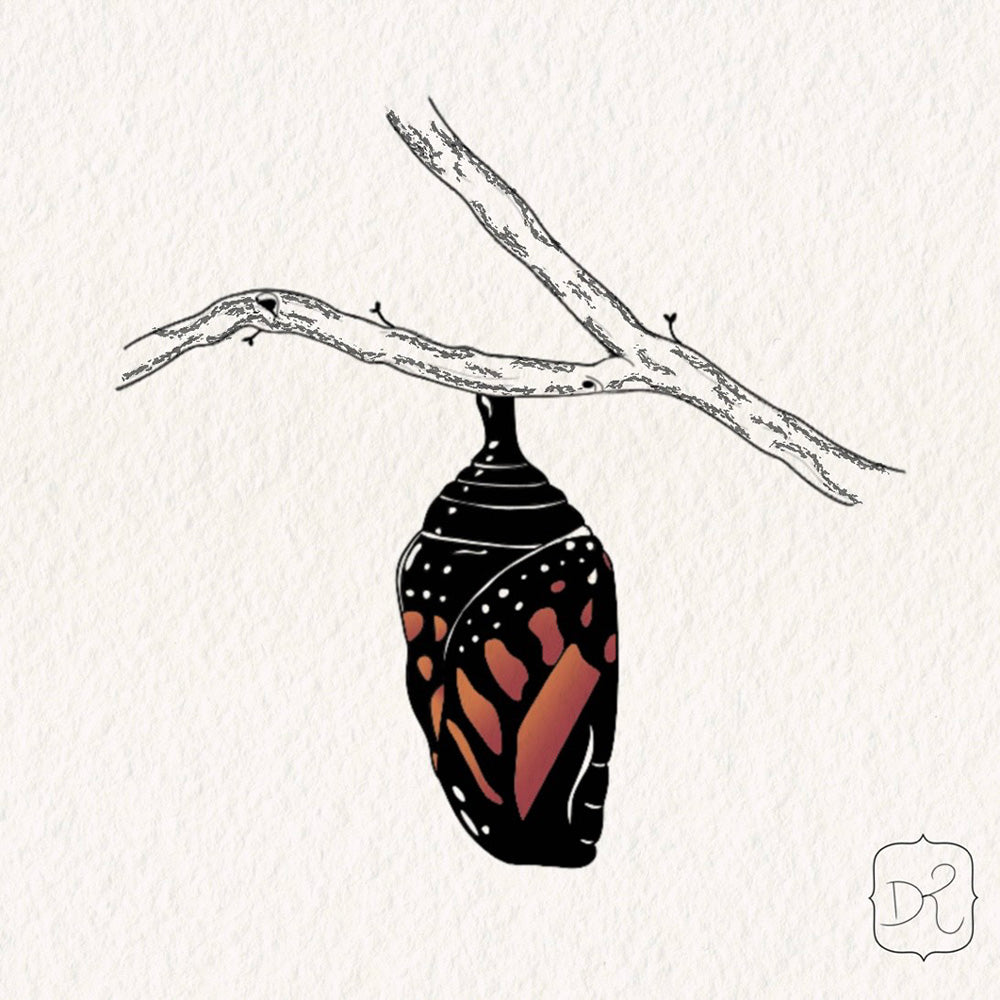 monarch chrysalis tattoo design by Lydia Pitts 