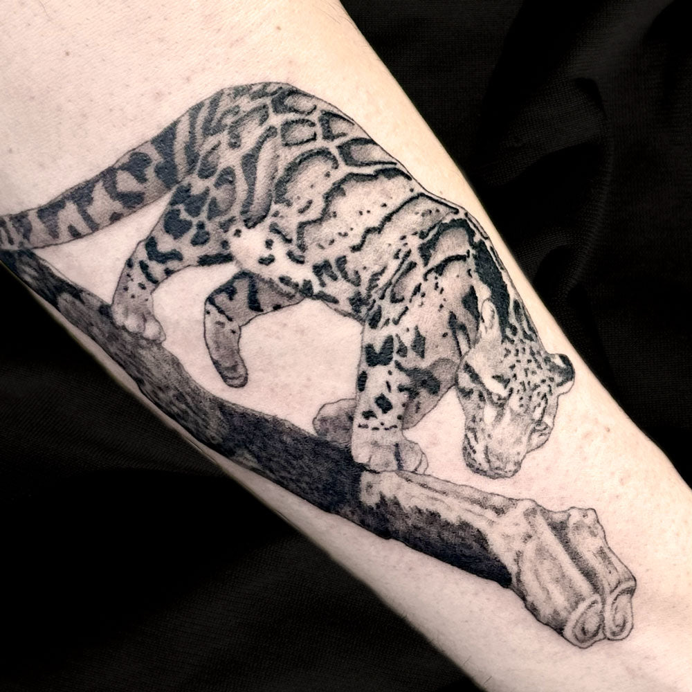 cloud leopard tattoo by Danny Schreiber