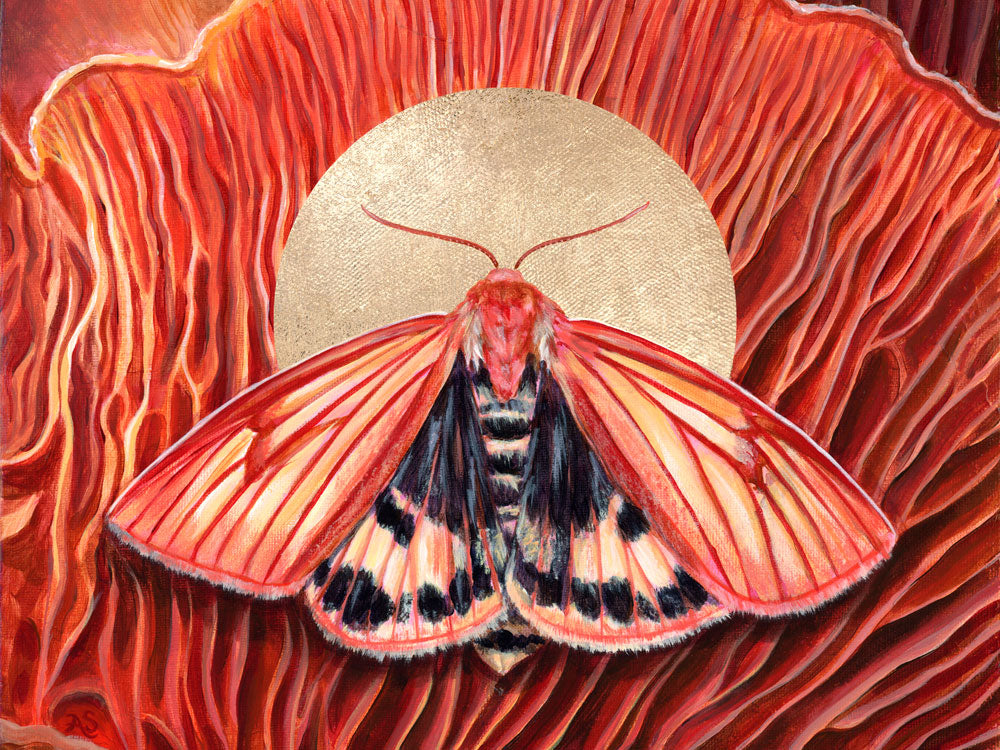 &#39;Cohesion&#39; clouded buff moth mushroom art print 30x40