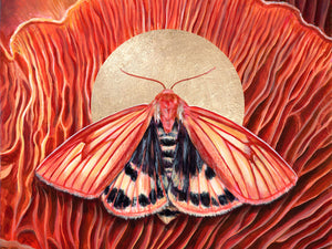 'Cohesion' clouded buff moth mushroom art print 30x40