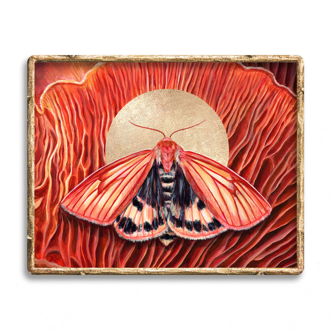 &#39;Cohesion&#39; clouded buff moth mushroom art print in gold frame