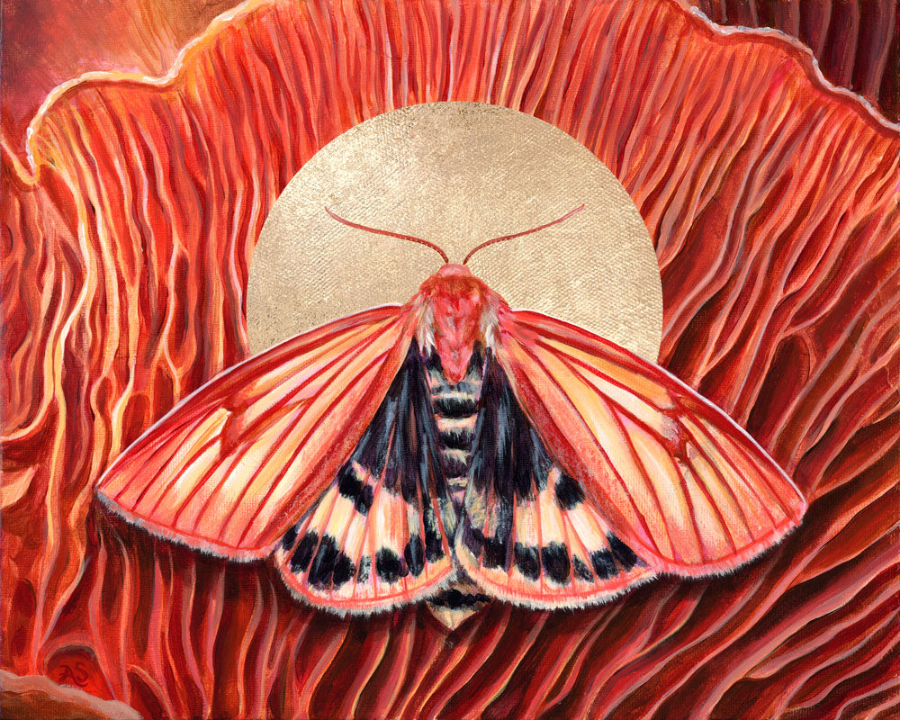 &#39;Cohesion&#39; clouded buff moth mushroom art print