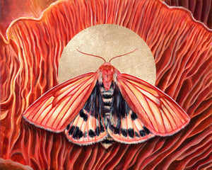 'Cohesion' clouded buff moth mushroom art print