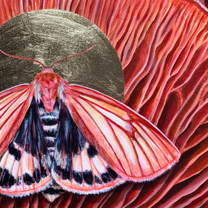 clouded buff moth mushroom painting gold halo detail