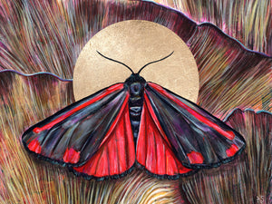 'Communion' red cinnabar moth and mushroom art print 30 x 40 inches