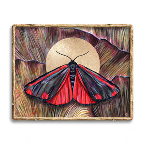 'Communion' red cinnabar moth and mushroom art print