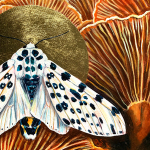 giant leopard moth mushroom painting gold leaf halo detail
