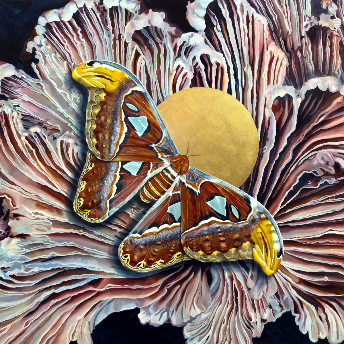 atlas moth painting by Aimee Schreiber