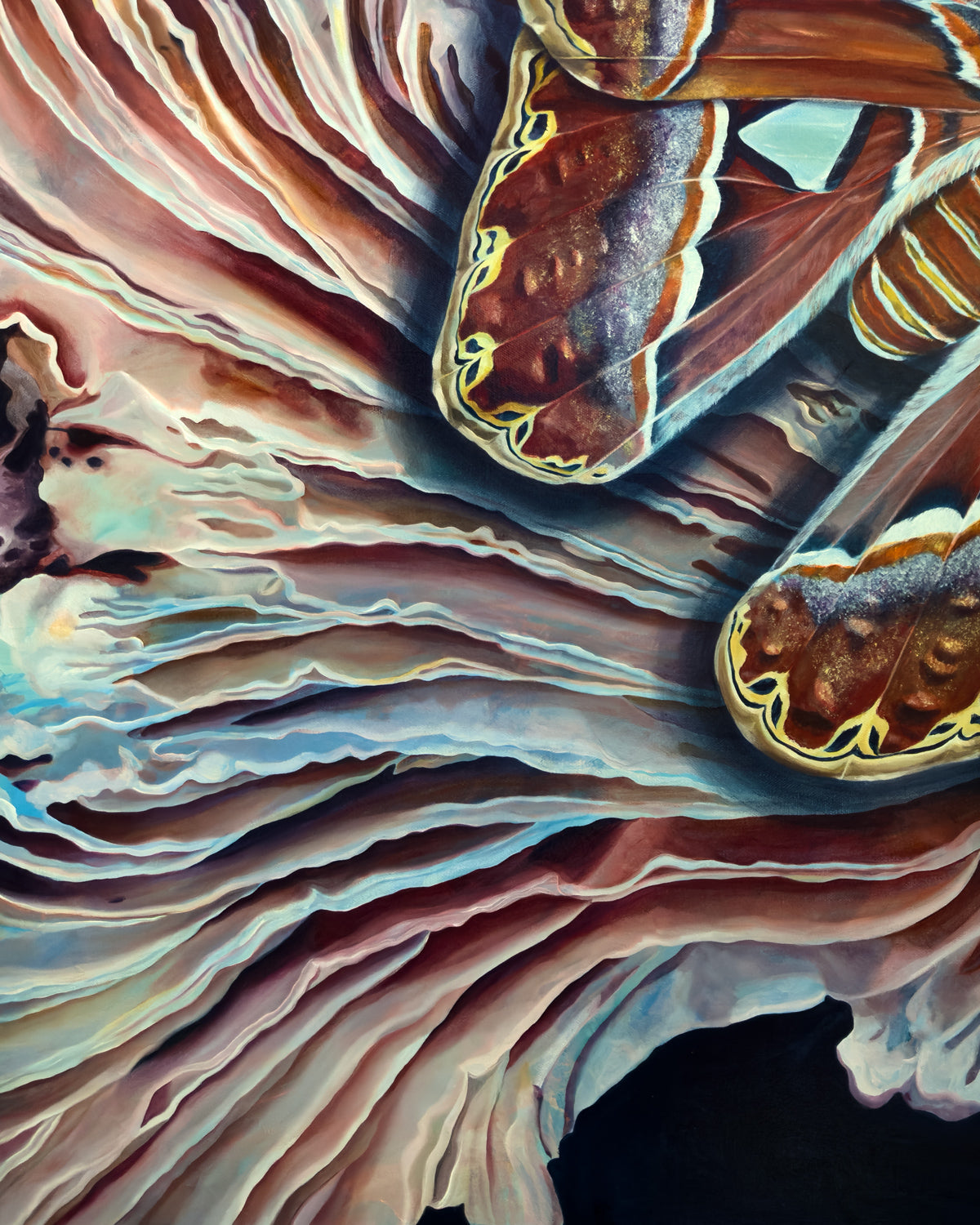 atlas moth painting texture detail