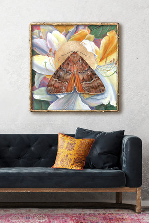 copper underwing moth rhododendron art print gold frame