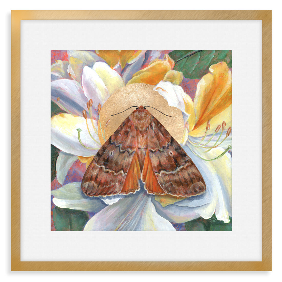 copper underwing moth rhododendron art print frame with mat
