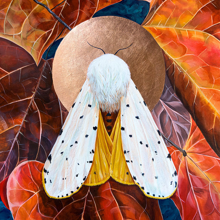 Copper Wolf Art Gallery Moth Painting