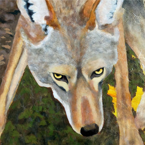 coyote painting detail