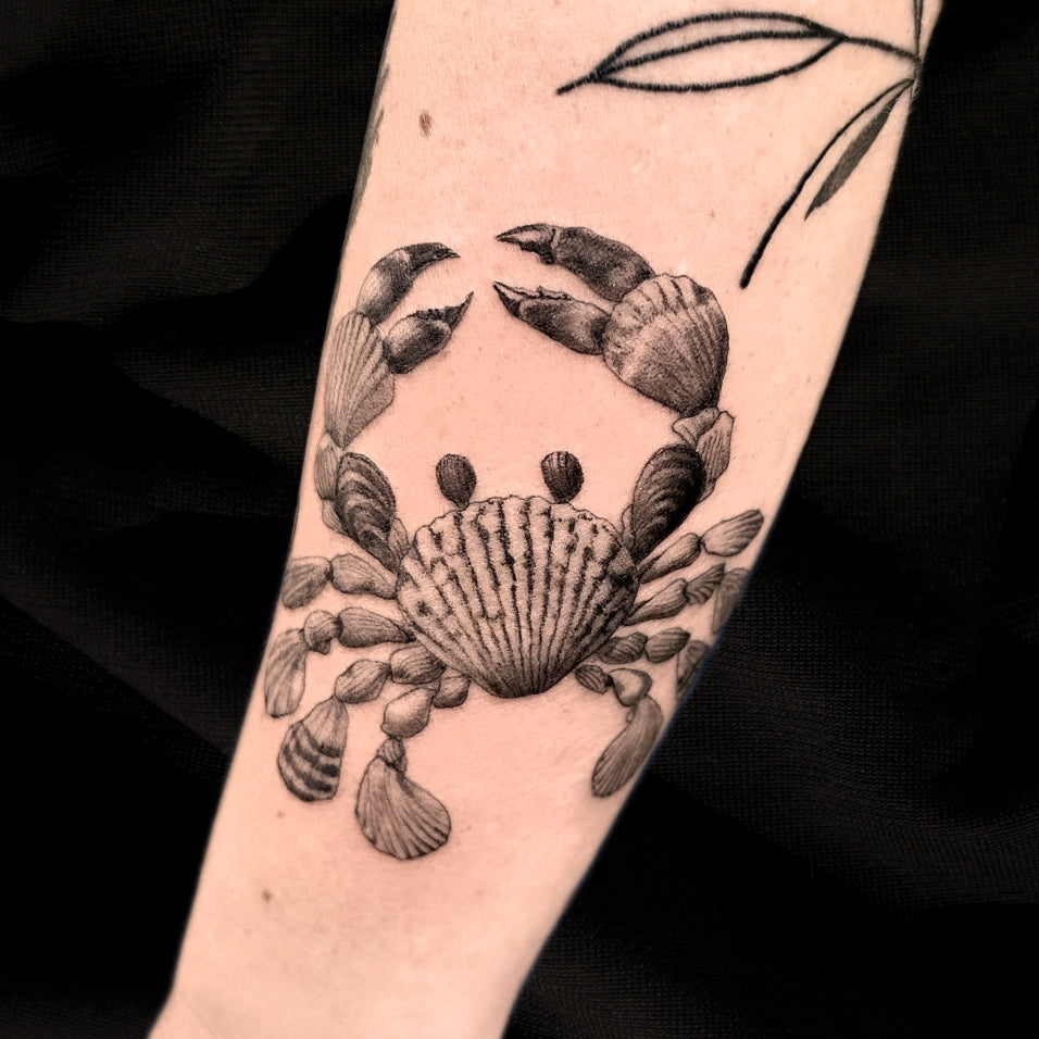 crab seashell tattoo by Danny Schreiber