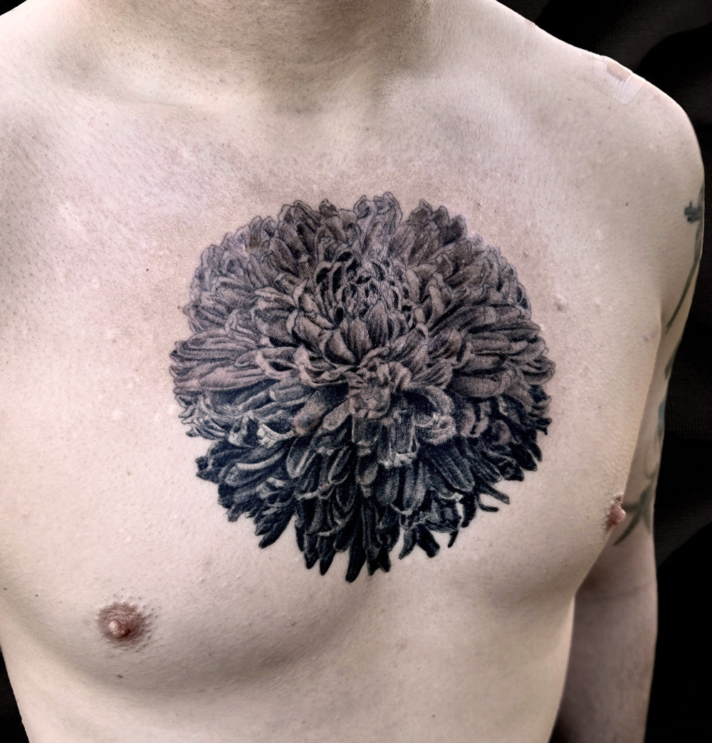 dahlia tattoo on chest by Danny