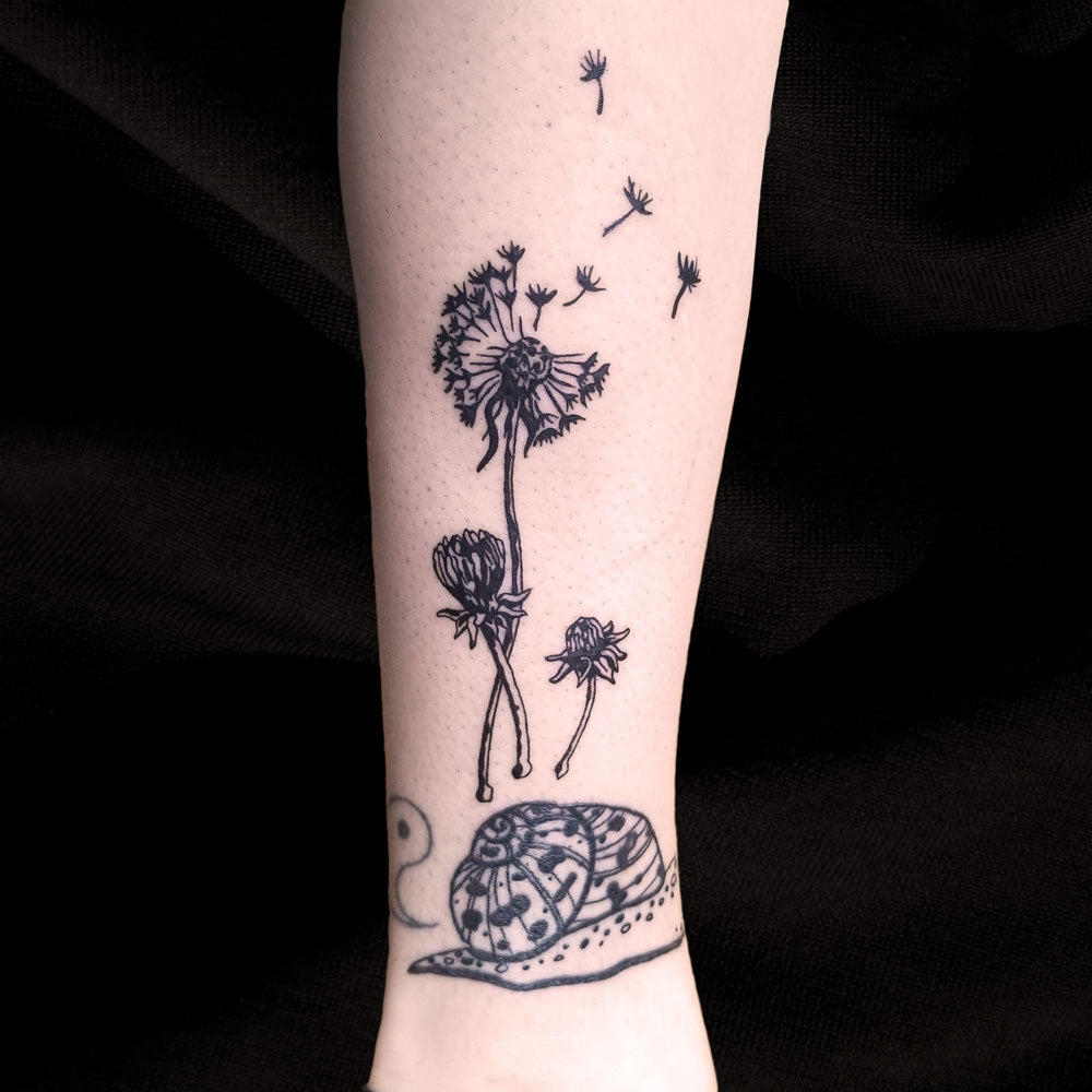 dandelion and snail tattoo by Lydia Pitts