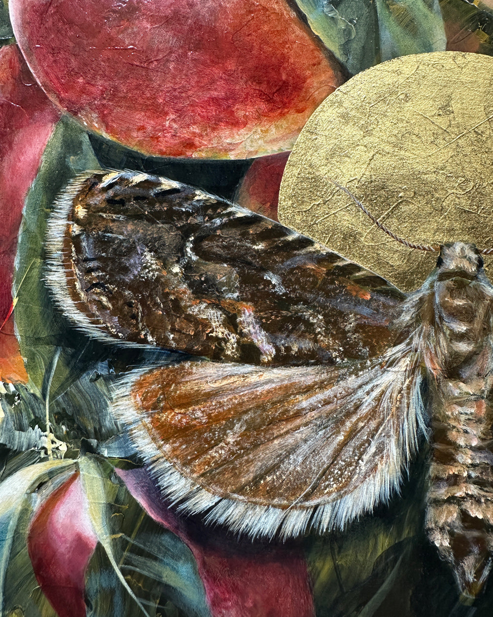 "Dissolve" Peach Moth Painting