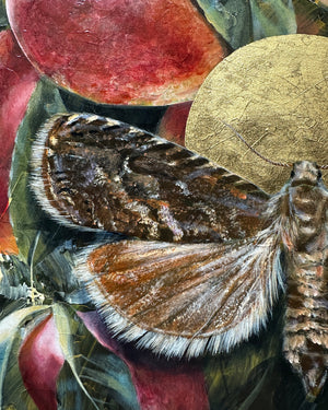 "Dissolve" Peach Moth Painting