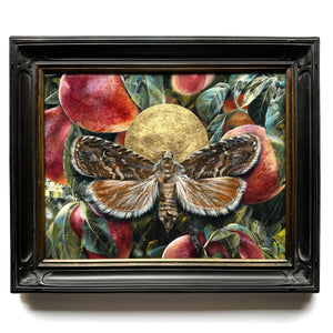 "Dissolve" Peach Moth Painting