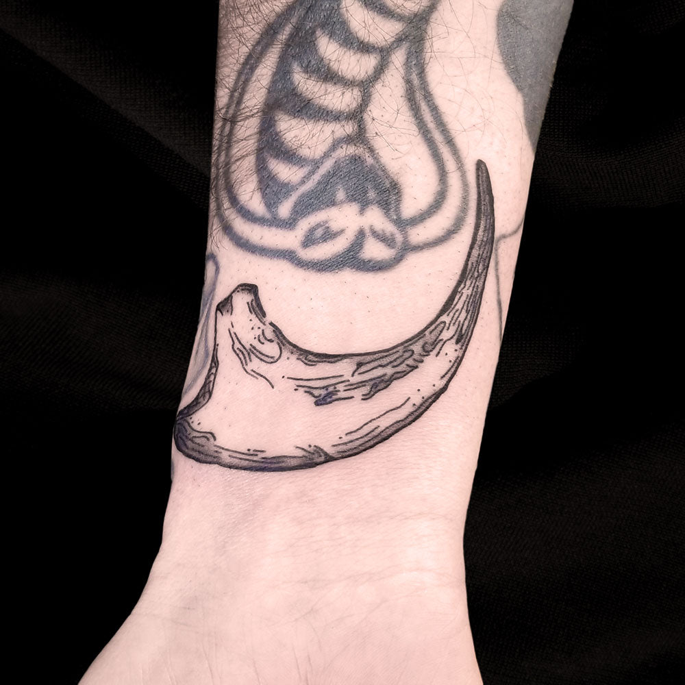 dragon talon tattoo by Lydia Pitts