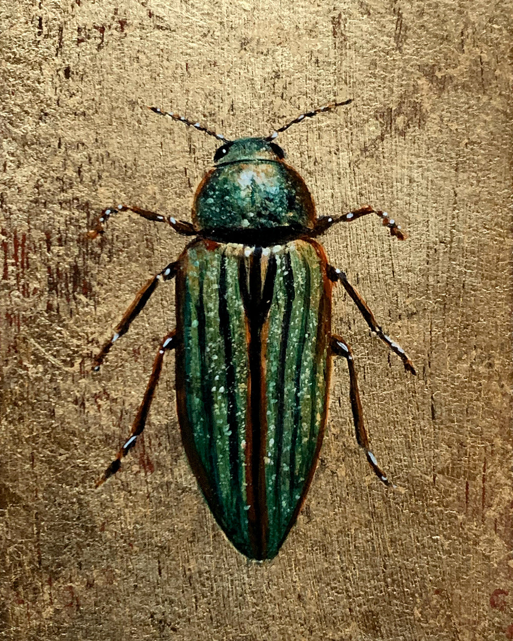 buprestis aurulenta: small green golden jewel beetle painting